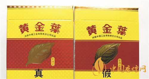 如何辨別黃金葉金滿堂真假？2020黃金葉真假辨別詳情對比