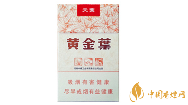 黃金葉天葉真?zhèn)卧趺幢鎰e？天葉真假如何看？