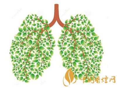 相比癌癥慢阻肺疾病離吸煙者更近！