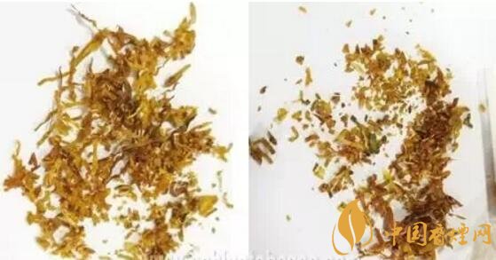 冬蟲夏草（和潤(rùn)）真假鑒別，春節(jié)防止被騙