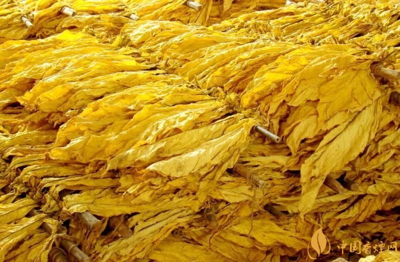 朱砂煙到底是什么煙，云煙朱砂煙有哪幾款